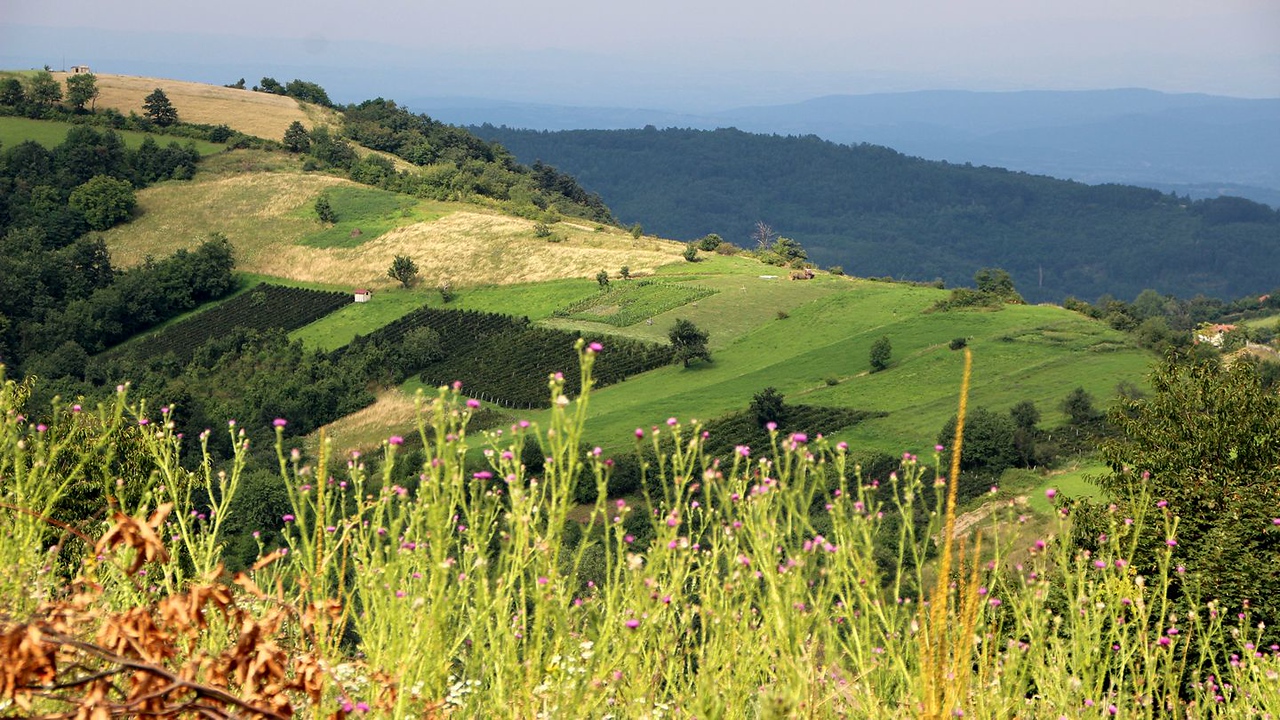 Gledićke planine (Samar 922 m.)